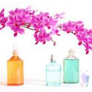 Discount on Fragrances,  skincare and cosmetics