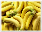 VERT FRAIS bananes Cavendish