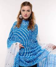 Pashmina Shawls at Best Price in India