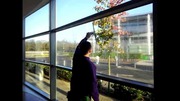 Office Windows Cleaning Services Montreal