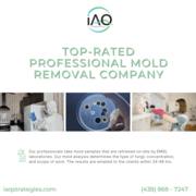 Top Rated Professional Mold Removal Company - IAQ Strategies