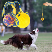 Indestructible Dog Training Ball