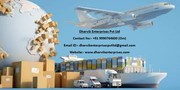 International Cargo Services & Domestic Courier Services